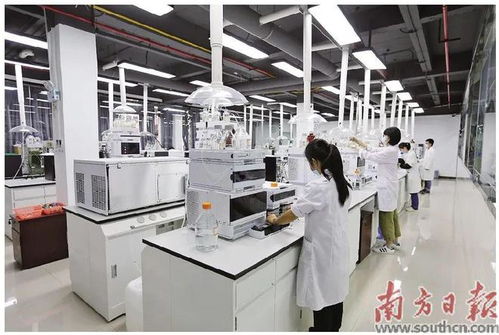 蓬江 以科技创新为引擎，新材料研发驱动产业升级