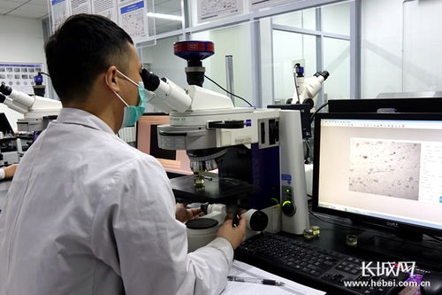 四通新材 防控生产双驱动，国内外订单全面恢复，新材料研发蓄力未来